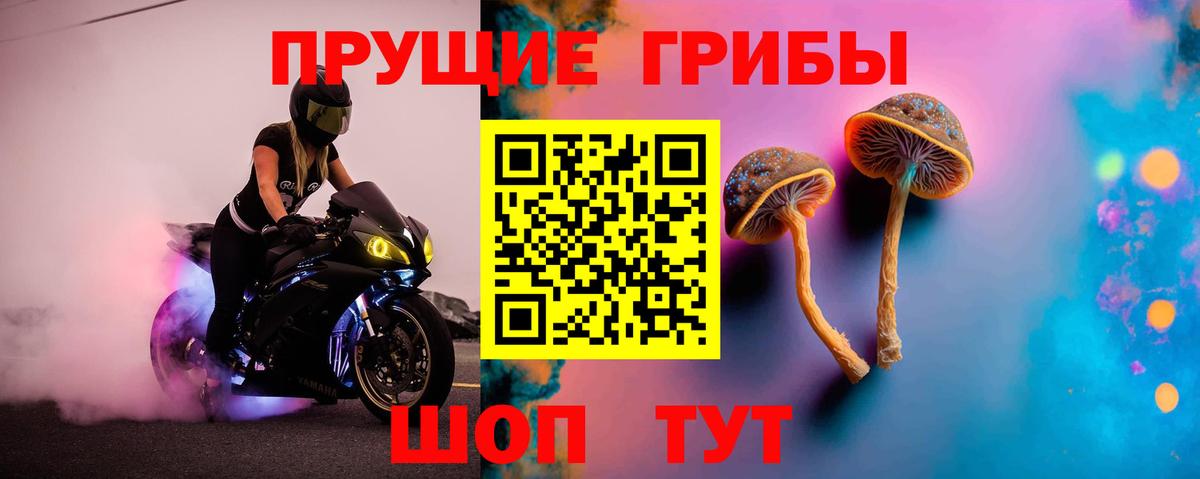 Симферополь  купить   Галлюциногенные грибы мицелий  Вход с VPN  Галлюциногенные грибы Psilocybine cubensis 